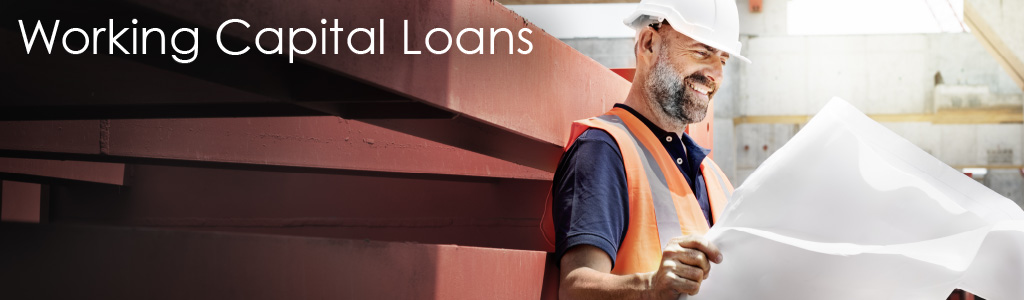 								 Working Capital Loans		